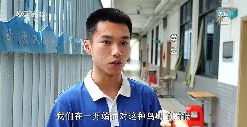 有学生表示已开始学习适应鸟叫。(取材自央视)