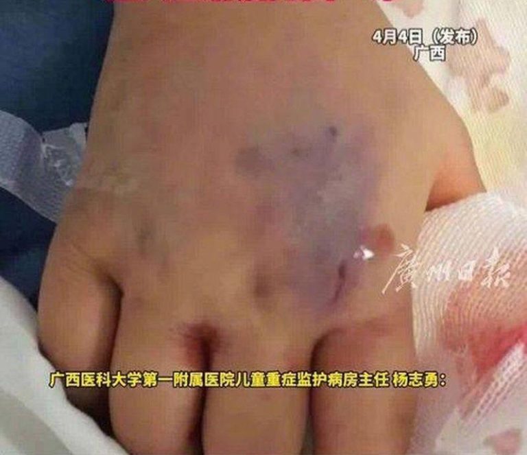 （广州日报视频截屏）