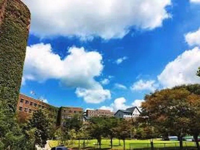 拿假学历读韩大学? 遭驱逐的5名中国留学生打官司抵抗 南韩湖南大学。(取自韩国湖南大学中国办事处官网)