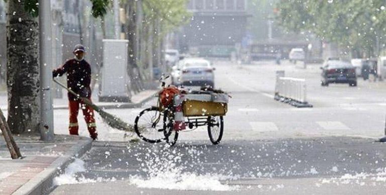 北京街头「4月雪」 200万棵杨柳飞絮喷发 过敏族的噩梦 北京街头又迎来柳絮高峰期。(取材自央视客户端)