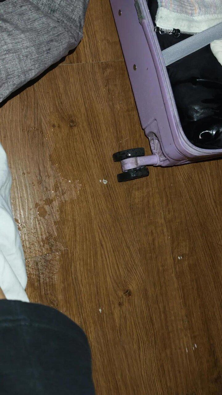 张女士的行李箱被日男撒的尿弄脏。(取材自红星新闻/受访者供图)