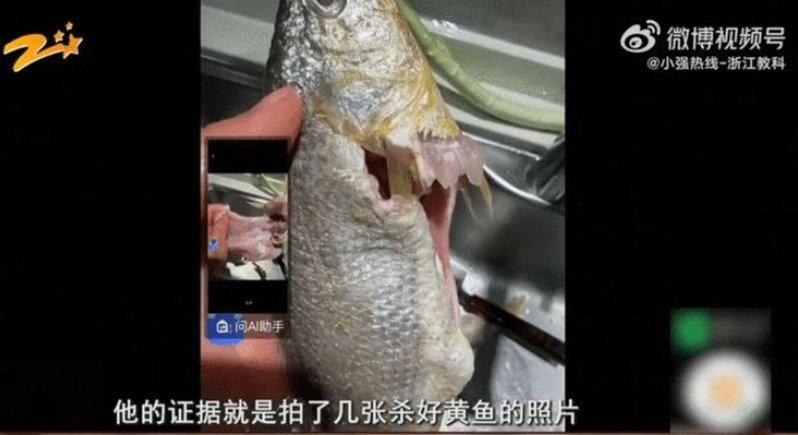 买家上传的黄鱼照片。(取材自钱江晚报)