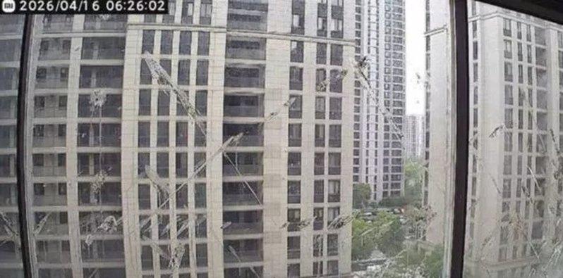 民众家中窗户被乌鸫用鸟粪乱涂，让她不堪其扰。（取材自潇湘晨报）