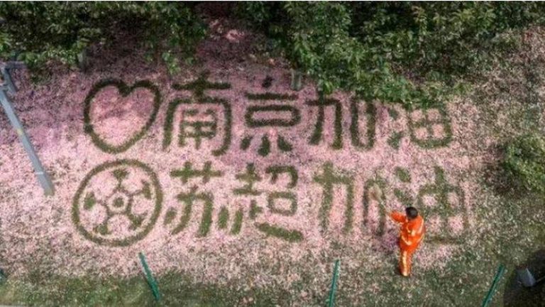 南京环卫工用花瓣拼「苏超加油」火了 获邀去看比赛 刘金顶用樱花花瓣拼成「 南京加油 苏超加油」的应援图案。(取材自南京日报)