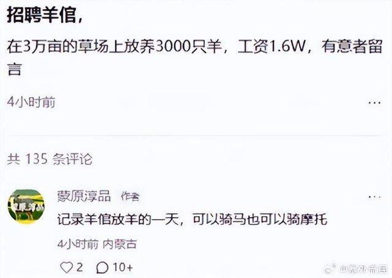 内蒙牧区招聘员工,须管近3000只羊,月薪1.6万元人民币。(取材自九派新闻)