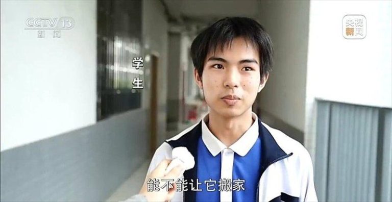 噪鹃太吵「扰学」 校长拒拆鸟巢信全网点赞 吐槽鸟巢太吵的学生。(取材自央视)