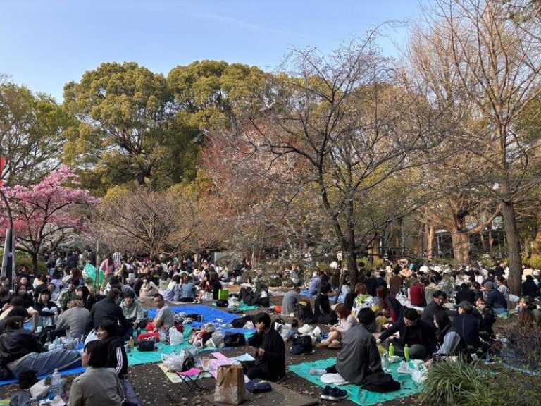 图为上野公园在樱花树下野餐的游客。中央社