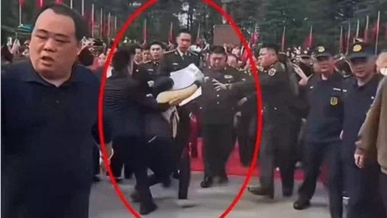 毛新宇携家人在湖南祭祖，突遇女冤民跪地拦路递诉状。（视频截屏）