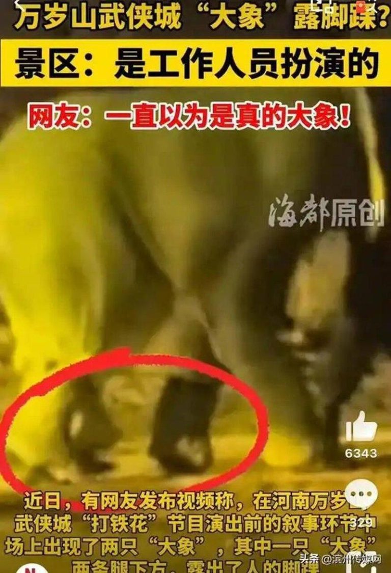 河南景区大象表演 观众以为是真的…直到露出「人脚」 近看才发现,象脚里出现人脚的影子。(视频截屏)