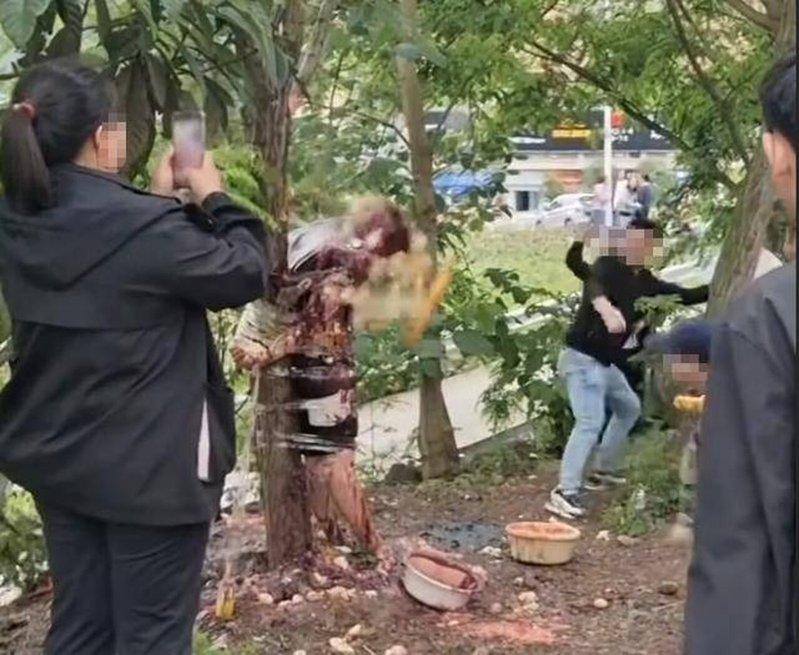 四川一名新郎被扒去外衣绑在树上,多人向其身上泼洒酱油、投掷生鸡蛋,引发关注。(取...