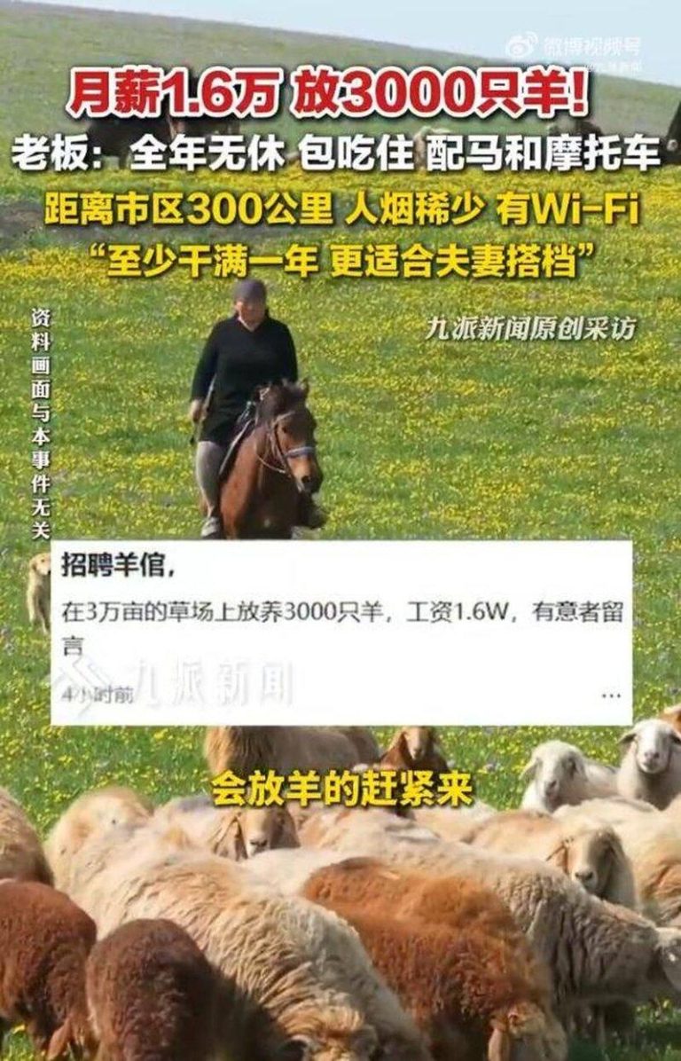 月薪1.6万 内蒙牧区招人放3000只羊 包吃住还有WiFi 内蒙牧区招聘员工,须管近3000只羊,月薪1.6万元人民币。(取材自九派新闻)