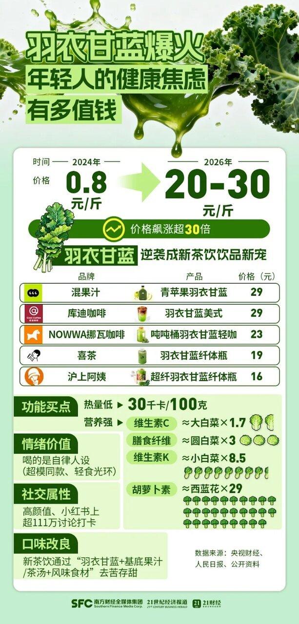 羽衣甘蓝身价暴涨30倍。(取材自21世纪经济报导)