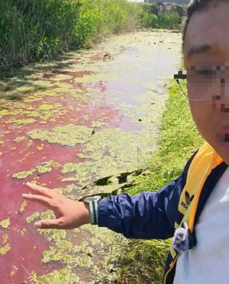 河南河水变红 博主采样检测 半夜竟被敲门要「谈一谈」 河南周口市郸城县河水莫名变红,环保博主拍摄视频并检测后,有人半夜敲门要「谈一谈」...