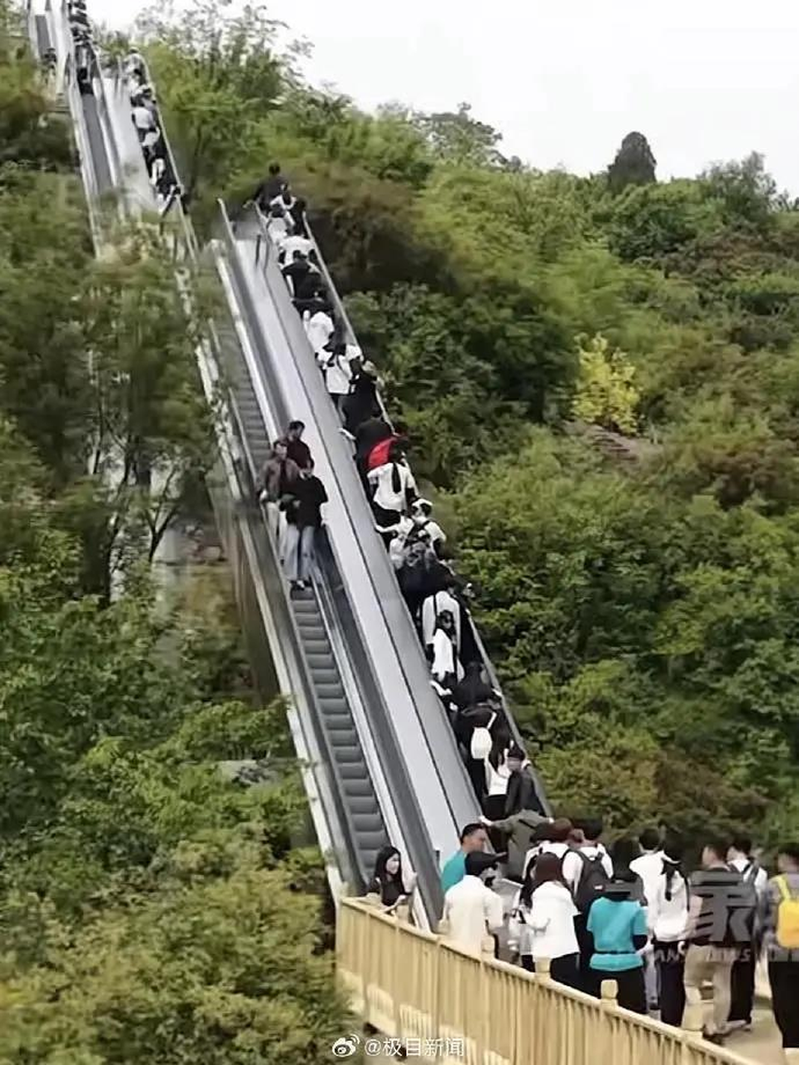 景区装电梯无痛爬山被质疑过度开发。(取材自极目新闻)