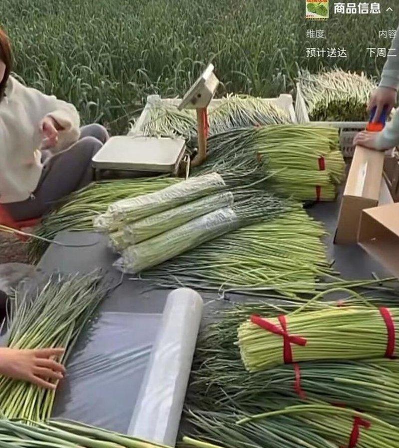 蒜农称,「抽蒜薹可以抽到怀疑人生」。(取材自红星新闻)