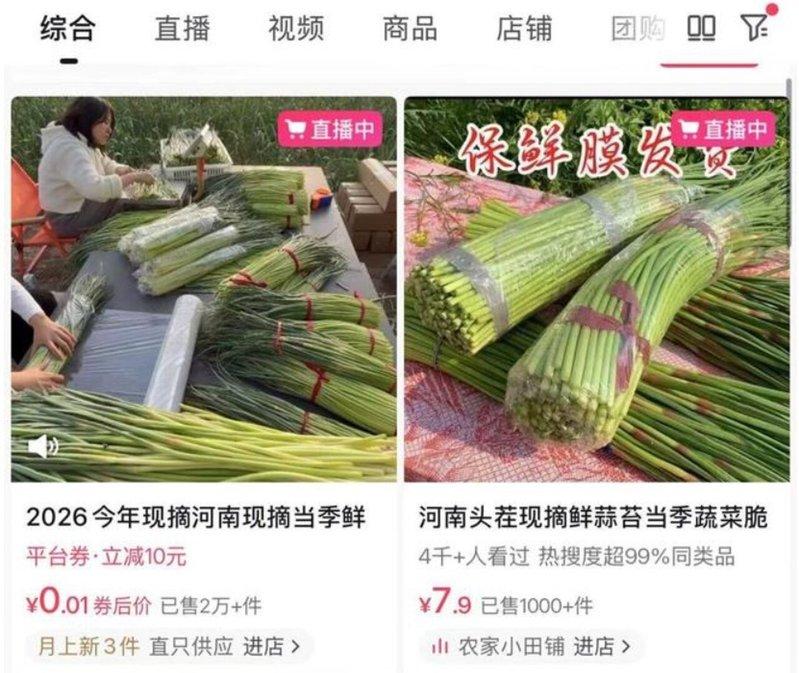 社交平台搜索「河南蒜薹」,有大量用户直播。(取材自红星新闻)