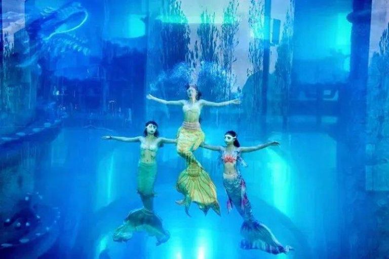 水族馆里有三名「美人鱼」。（取材自都市快报橙柿交互）
