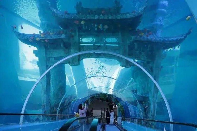位于杭州交投杭千高速桐庐服务区北的水族馆。（取材自都市快报橙柿交互）