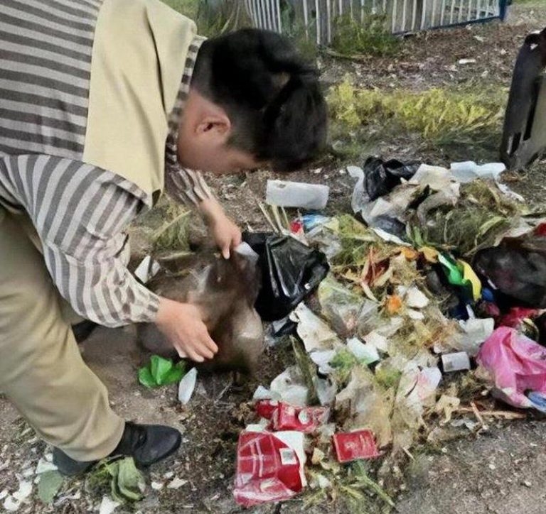 榴梿遭仅退款 卖家驱车1600公里维权 翻垃圾桶找证据 卖家翻垃圾桶找证据。(取材自新京报)