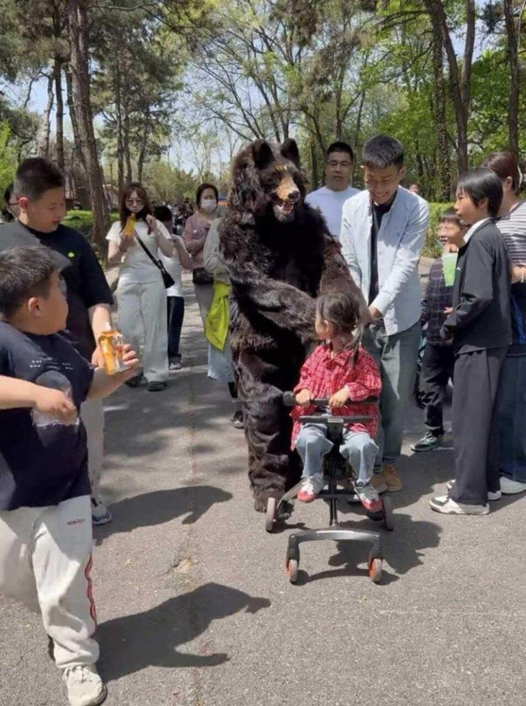 人扮演的假熊。（视频截屏）