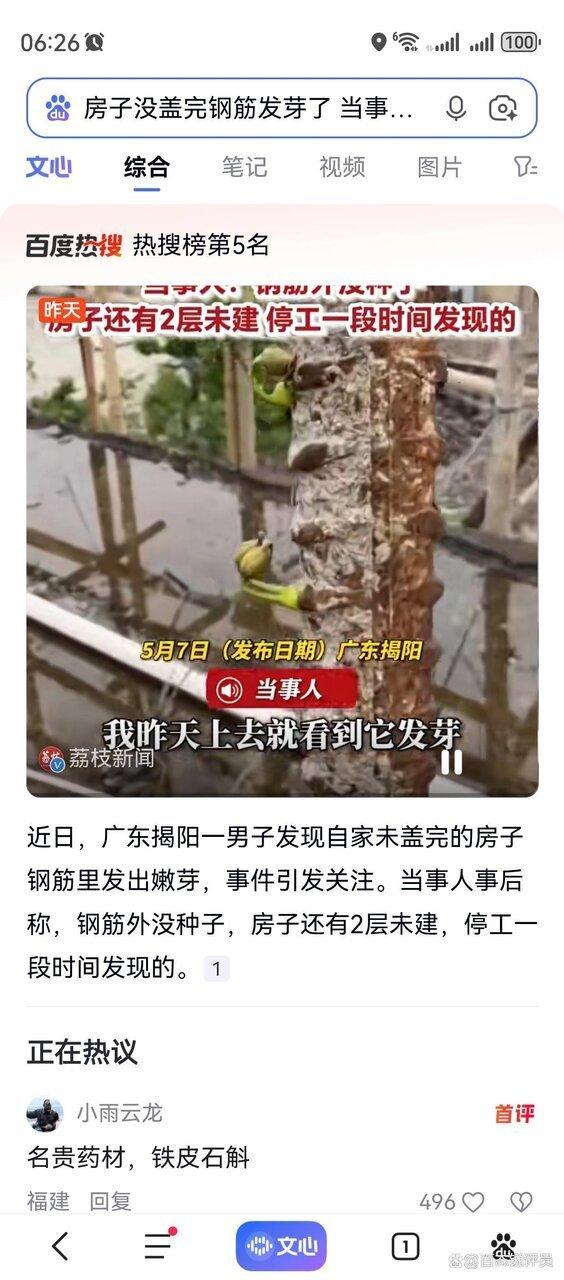 广东揭阳一名男子家未盖完的房子钢筋里发出嫩芽，引发热议。（取材自微博）