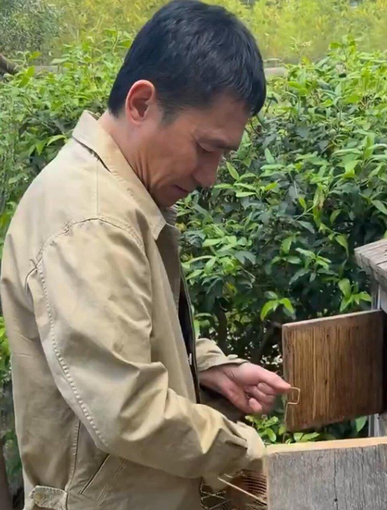 刘嘉玲分享与老公梁朝伟在南法度假的美照,其中包括梁朝伟捡鸡蛋的画面。(取材自微博...