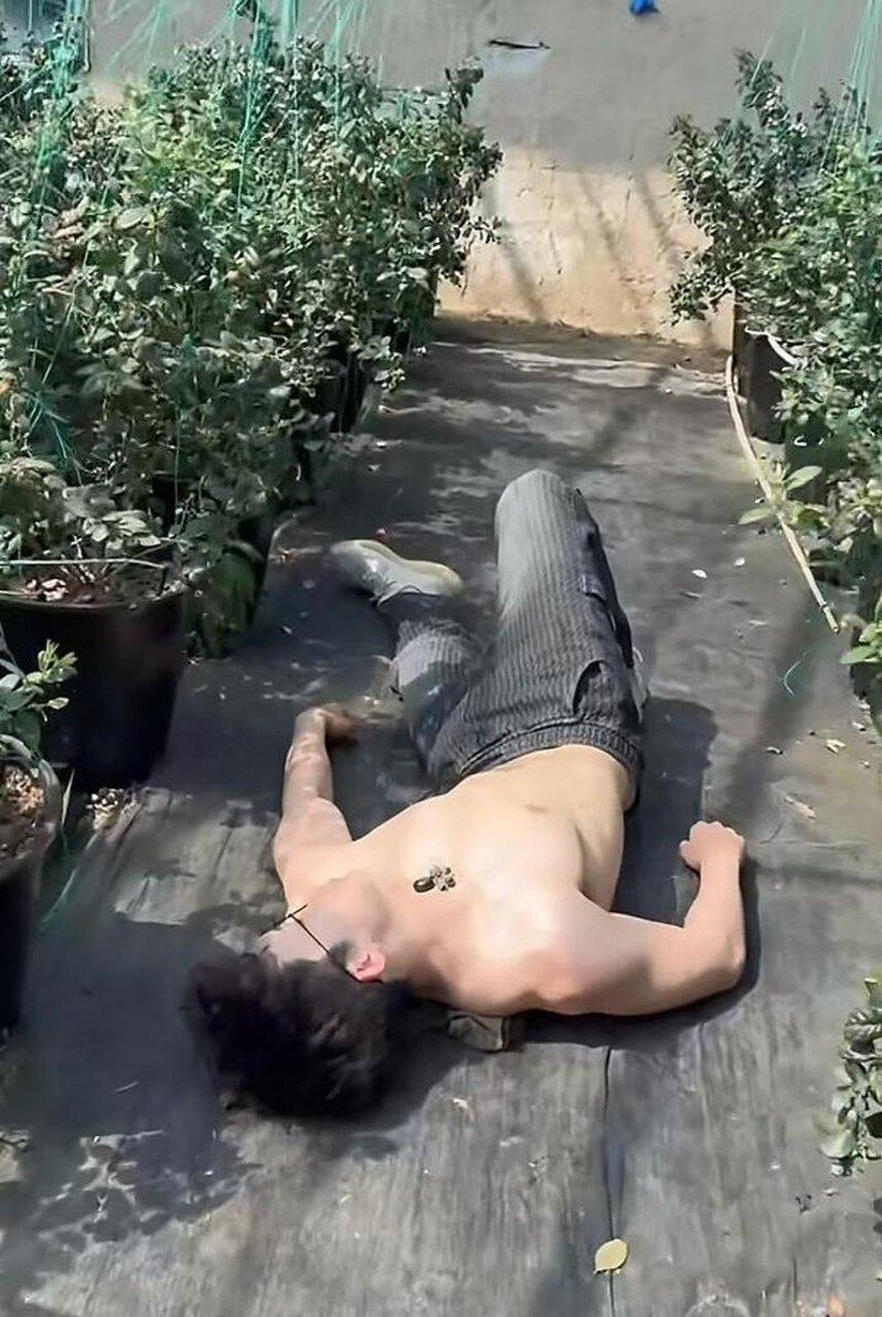 洲洲的蓝莓 。(取材自微博)