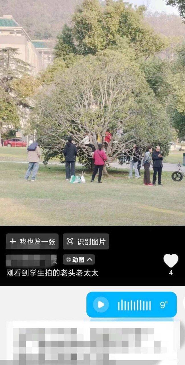 有游客攀爬武大校园内的树木。(取材自上游新闻)