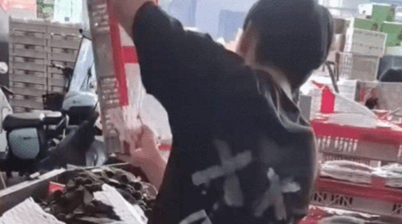 浙江金华一水果市场杨梅滞销,男子整箱整箱的倒进垃圾桶。(视频截屏)