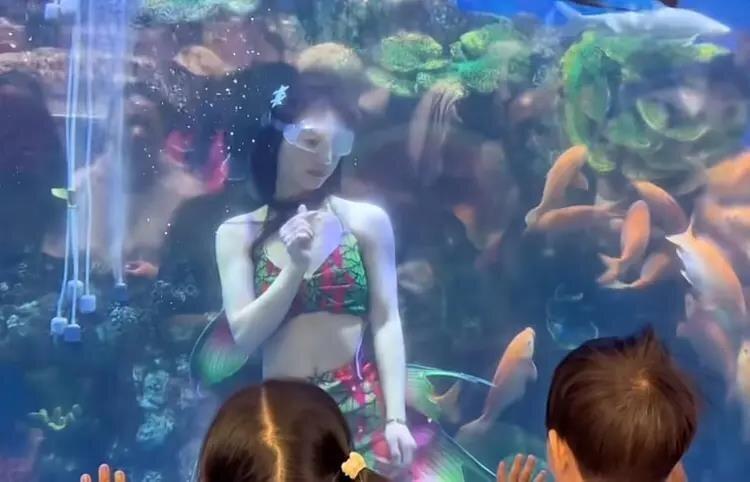 美人鱼表演。(视频截屏)