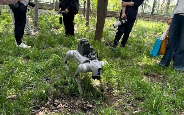24小时监测生态 「动物特工」穿梭林间 生物观测机器狗。(取材自新京报/受访者供图)