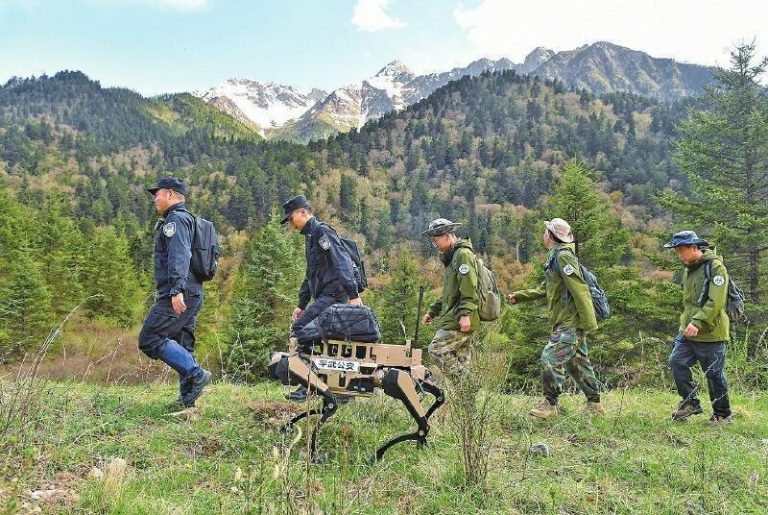 机器狗「入职」 当熊猫国家公园巡护员 民警和巡护员巡山,机器狗随行协助,背负物资。(取材自四川法治报)