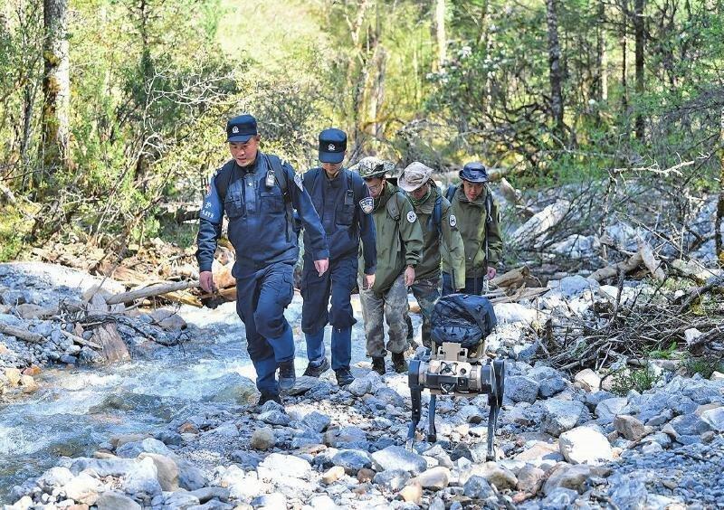 机器狗能轻松应对高山深谷的复杂地形。(取材自四川法治报)