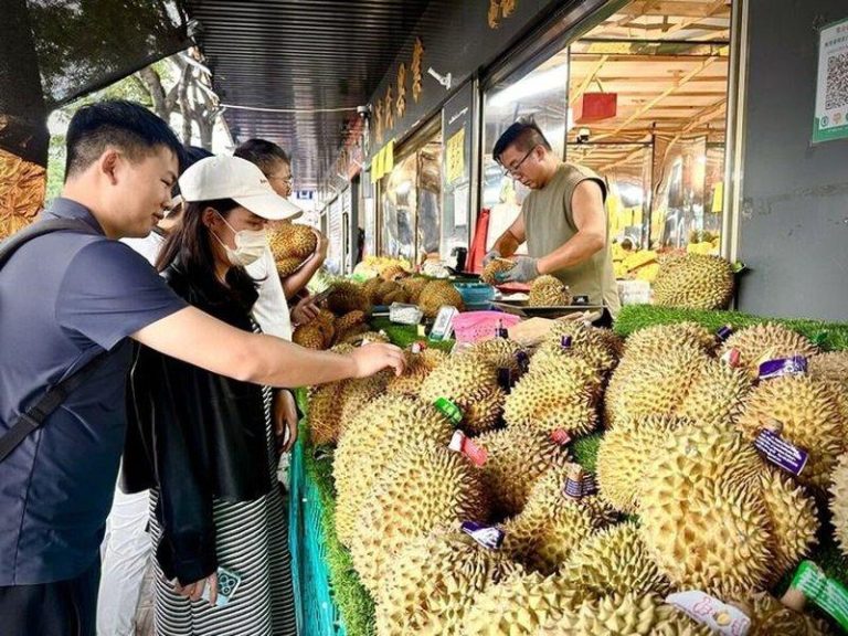 榴梿在中国价格走跌掀抢购潮 民众自备电子秤比重量 消费者在云南昆明金马正昌水果批发市场选购榴莲。(新华社)