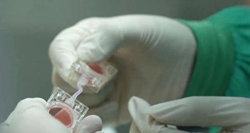 人类「人工胚胎」实验样本在中国太空站的实验模块。(取材自央视新闻)