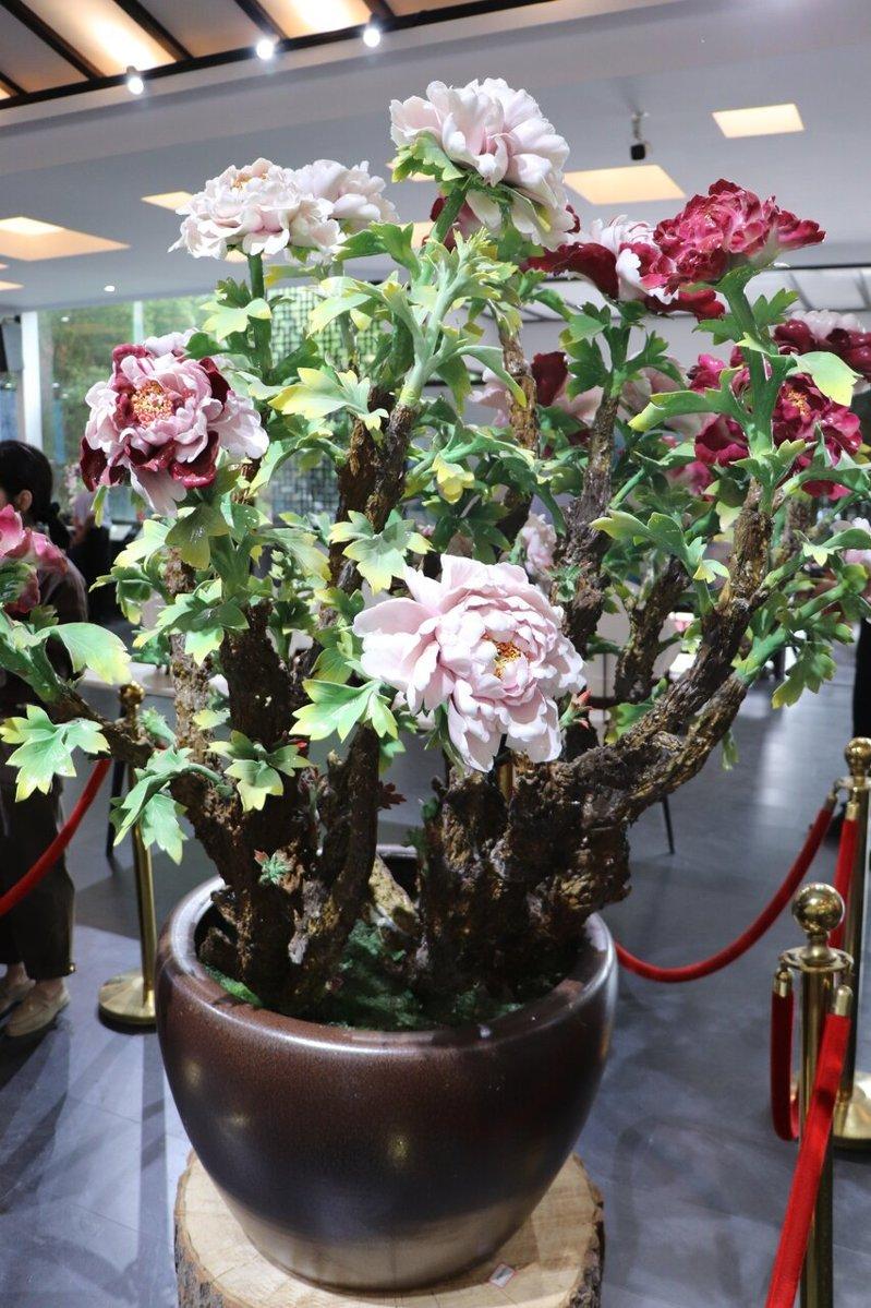在洛阳牡丹瓷股份有限公司的展厅里有一盆盆植栽,绽放着姿态、花色、尺寸各异的牡丹,...