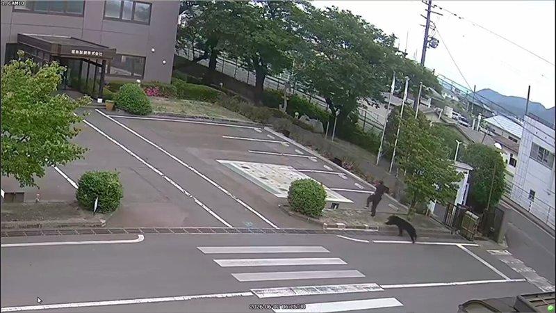 日本福岛制钢所提供的监视器画面显示，2日在福岛一只熊（右）在其厂区内追逐一名行人...