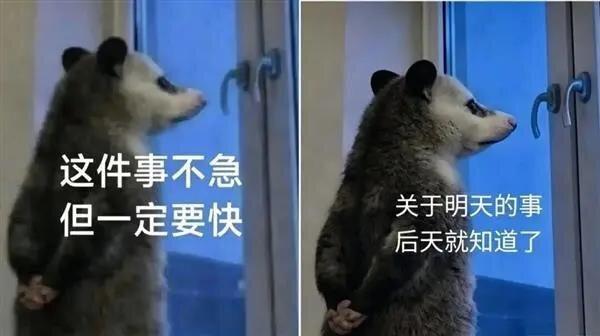 这几天，很多人的聊天软件都被一个外形有点像老鼠的动物「承包」了。(取材自快科技)