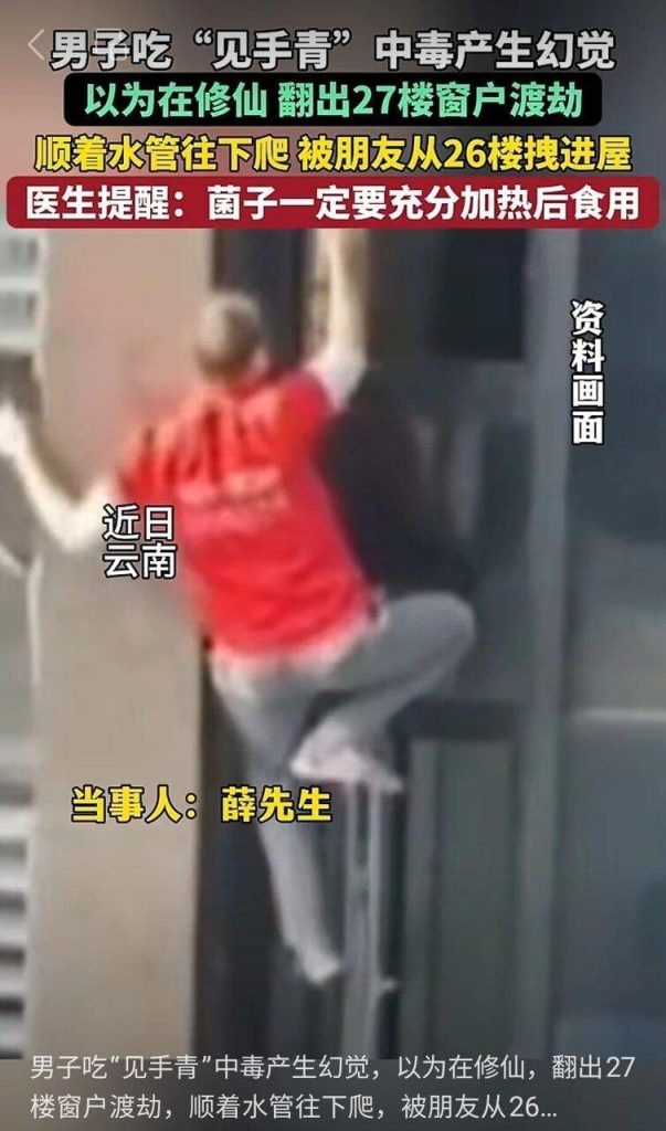 男子吃隔夜见手青，中毒后出现幻觉，从27楼爬下。（取材自山西晚报）