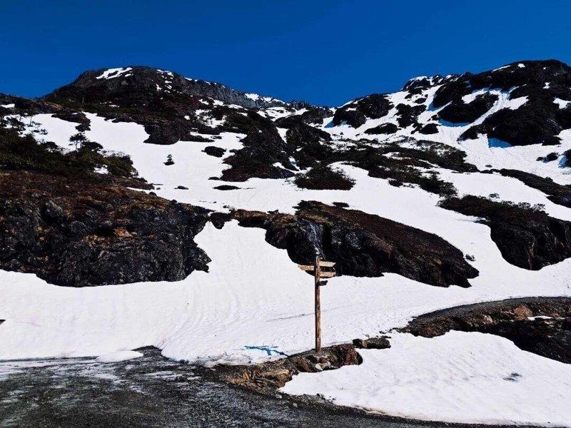 2026年5月下旬,南姐洛3号湖营地,一处由木杆制成的简易方向导览路标。(取材自...