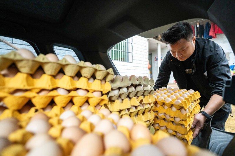 中国自5月开始蛋价疯涨。(新华社)