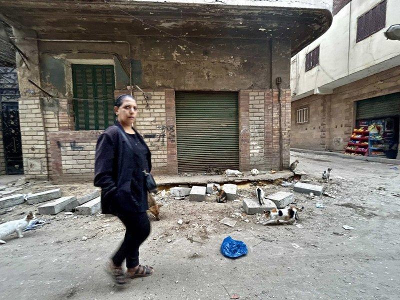 由于犬只繁殖速度快,加上开罗市区街道垃圾堆积与都市人口扩张,许多开罗居民近年在路...