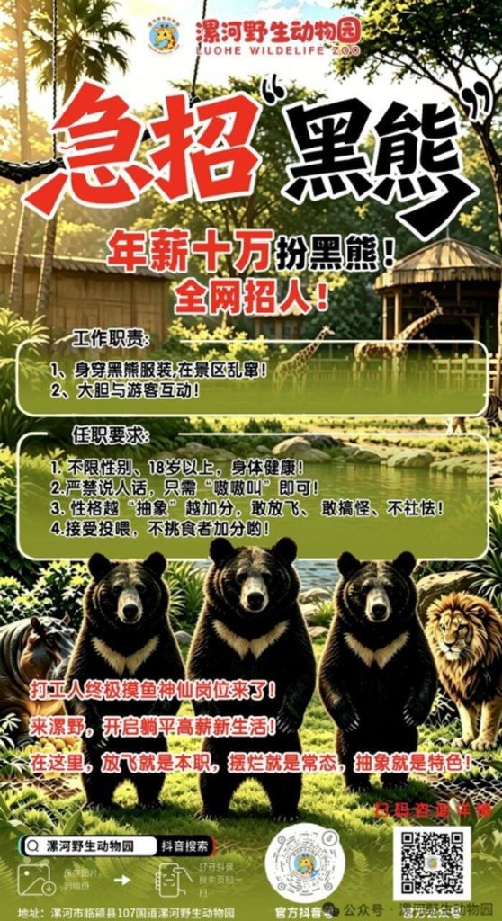 「严禁说人话」…河南动物园年薪10万「扮黑熊」 要接受投喂 漯河野生动物园征人扮演黑熊的海报。(取材自微信)
