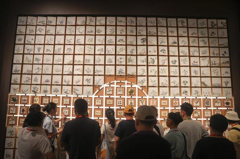 民众在中医园区参观各类中草药的功效。示意图,与新闻内容无关。(中新社)