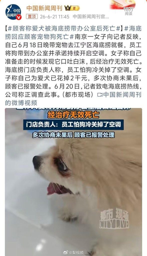 爱犬寄放海底捞办公室丧命 店员「怕狗冷」关空调害的? 南京一名女子带宠物狗去吃海底捞,爱犬在寄放过程中疑似因空调被关闭而口吐白沫死亡。...