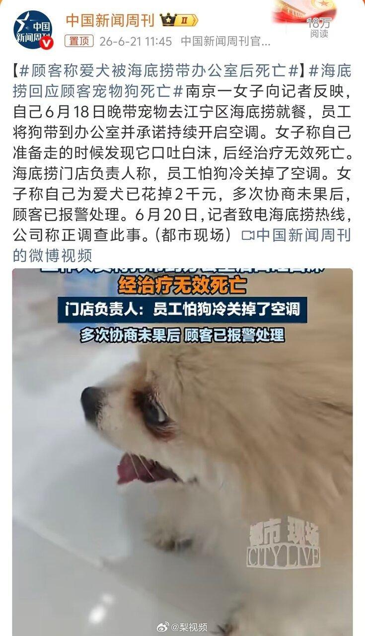 南京一名女子带宠物狗去吃海底捞,爱犬在寄放过程中疑似因空调被关闭而口吐白沫死亡。...