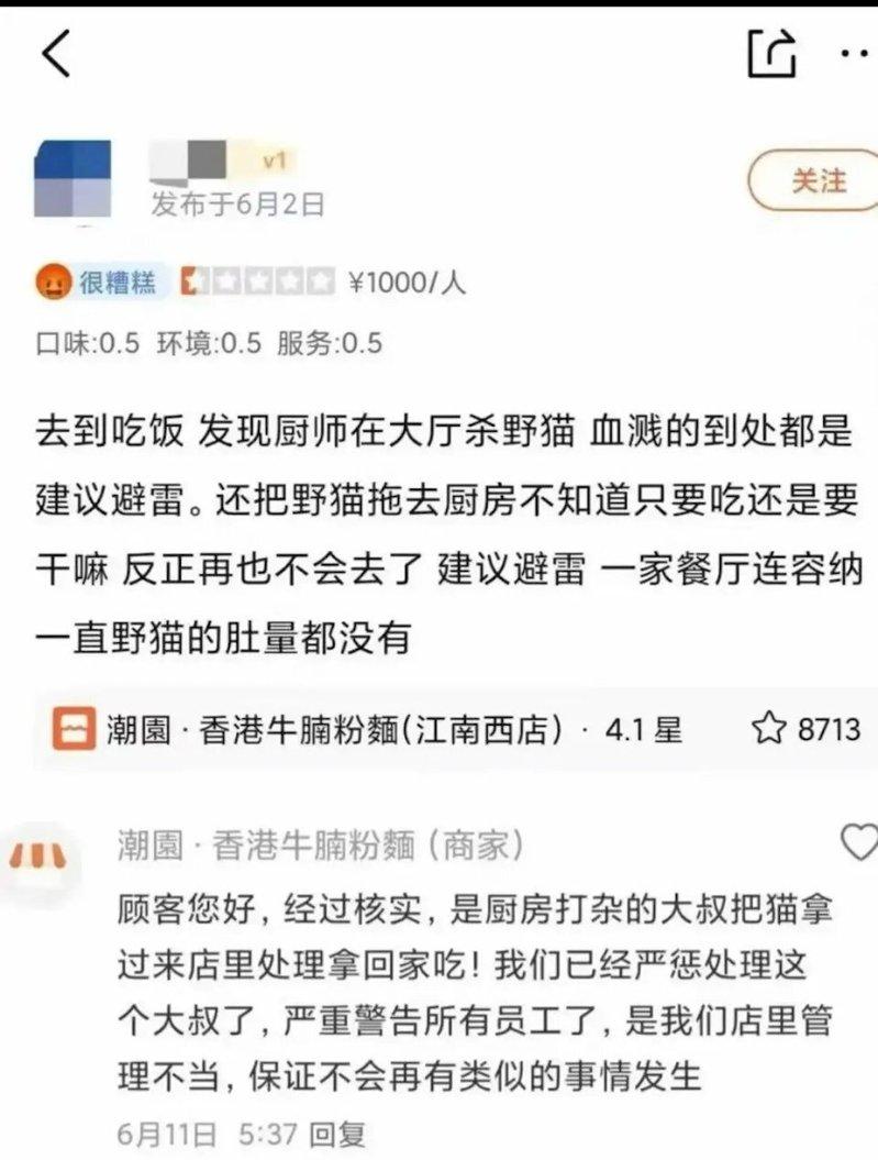 广州食客在众点评APP上曝光店内厨师在大厅当众宰杀流浪猫。(取材自大众点评)