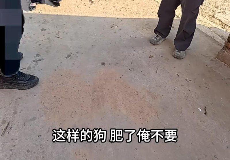 狗贩子说，狗「已经杀了」，还说「我杀罢我都后悔了，肥得很，我嫌肥，还嫌老，我不要...