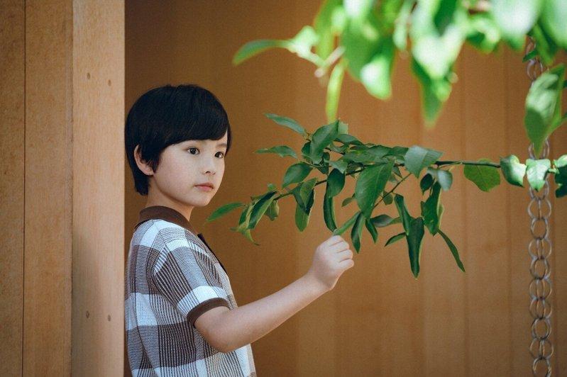 饰演绫濑遥和大悟的儿子「甲本翔」，由在200多人的甄选中脱颖而出的桒木里梦诠释。...