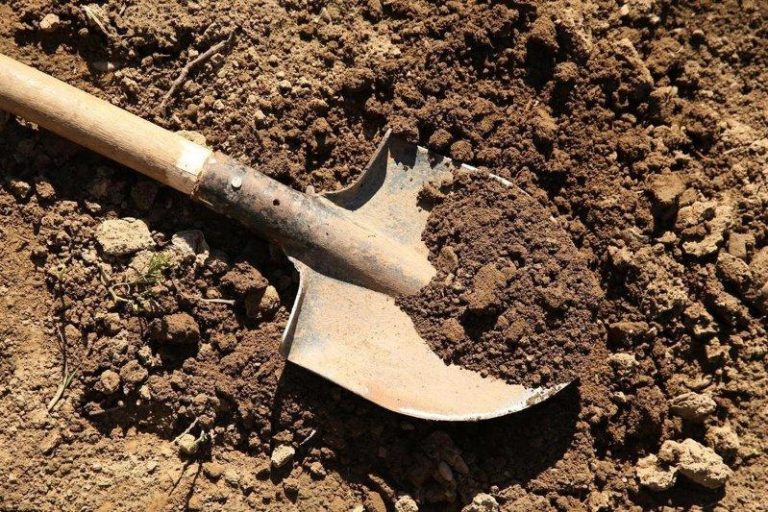 「方圆」杂志披露一起盗墓案：养牛场暗藏18米深盗洞直通古墓。示意图。（取材自澎湃...